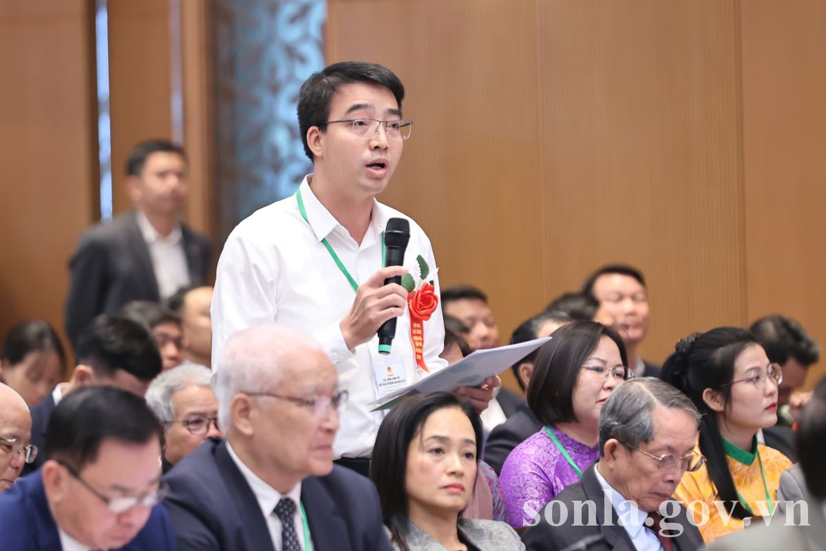anh tin bai